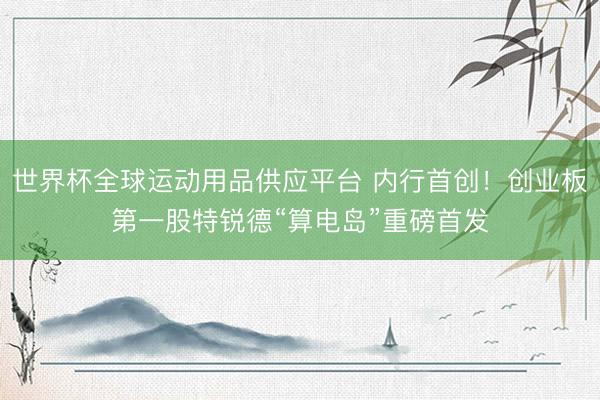 世界杯全球运动用品供应平台 内行首创！创业板第一股特锐德“算电岛”重磅首发