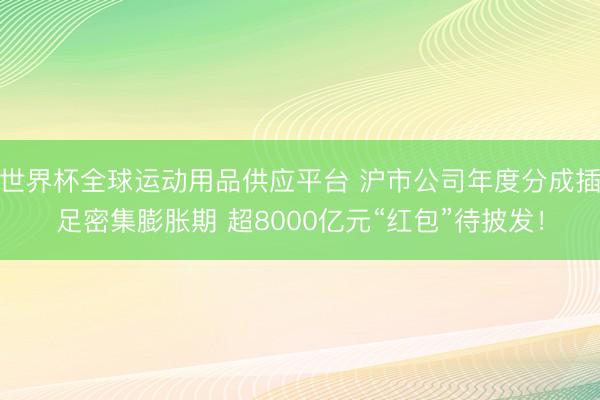 世界杯全球运动用品供应平台 沪市公司年度分成插足密集膨胀期 超8000亿元“红包”待披发！