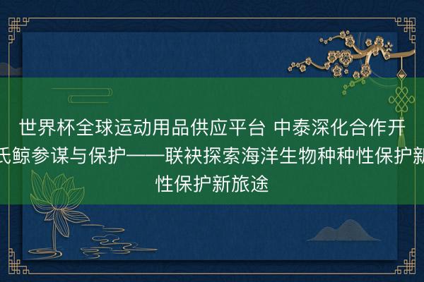 世界杯全球运动用品供应平台 中泰深化合作开展布氏鲸参谋与保护——联袂探索海洋生物种种性保护新旅途