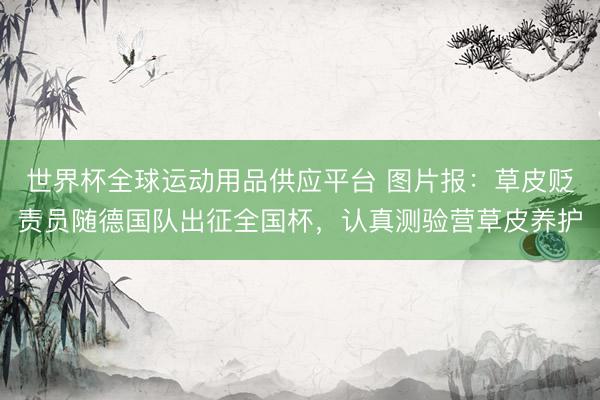 世界杯全球运动用品供应平台 图片报：草皮贬责员随德国队出征全国杯，认真测验营草皮养护