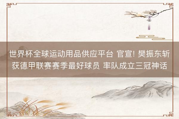 世界杯全球运动用品供应平台 官宣! 樊振东斩获德甲联赛赛季最好球员 率队成立三冠神话