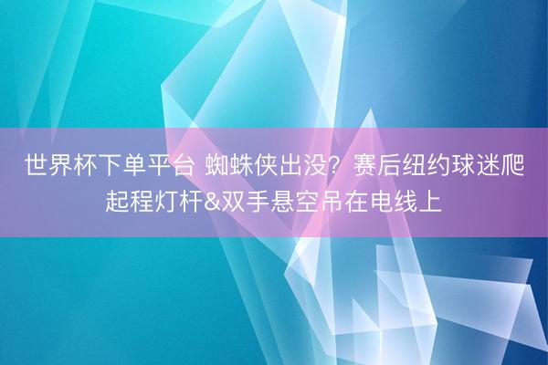 世界杯下单平台 蜘蛛侠出没？赛后纽约球迷爬起程灯杆&双手悬空吊在电线上