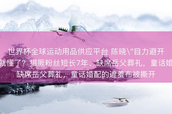 世界杯全球运动用品供应平台 陈晓
