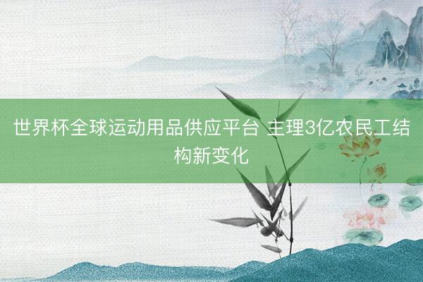 世界杯全球运动用品供应平台 主理3亿农民工结构新变化