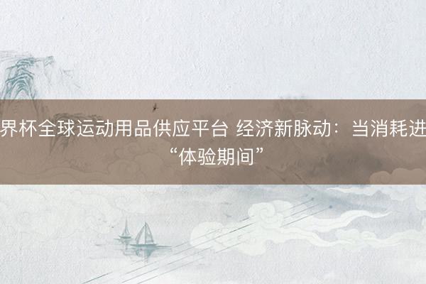 世界杯全球运动用品供应平台 经济新脉动：当消耗进入 “体验期间”