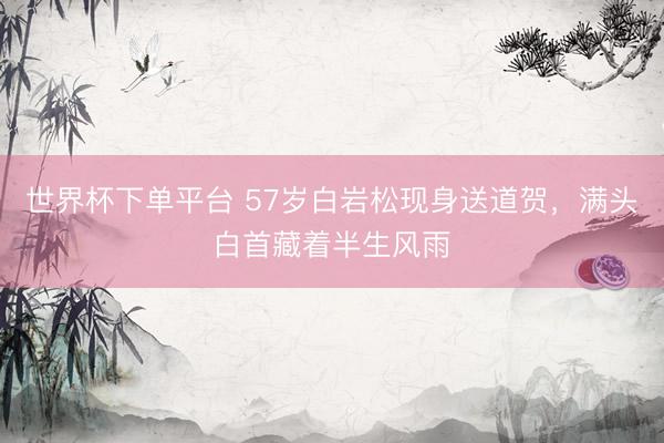 世界杯下单平台 57岁白岩松现身送道贺，满头白首藏着半生风雨