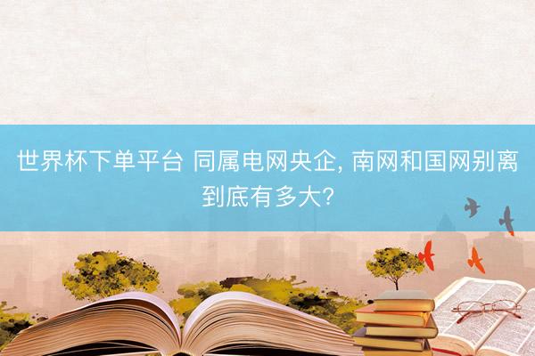 世界杯下单平台 同属电网央企， 南网和国网别离到底有多大?